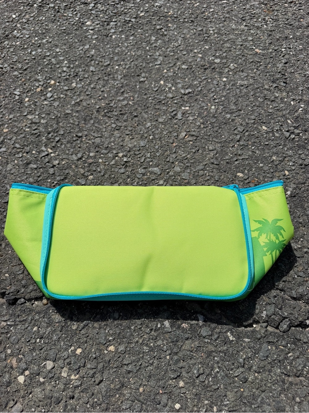 Trader Joe’s Mini Insulated Cooler Bag - Picture 2 of 4